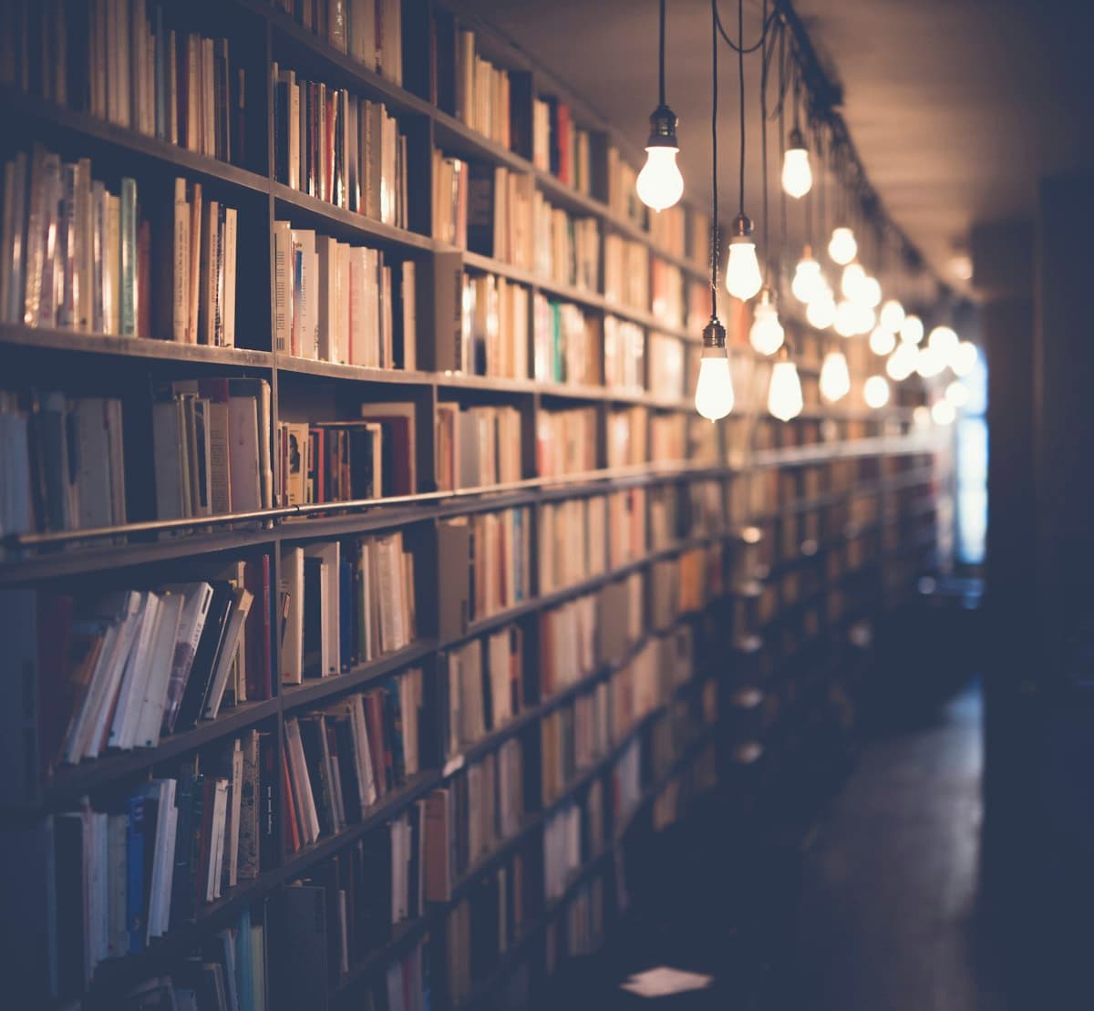 Library Hour at Feynman Public School